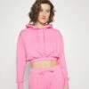 Champion Hooded - Hoodie - Pink -Deals Sport Girl Outfit Store 119c23d466644147aadbfe7b4ba61424